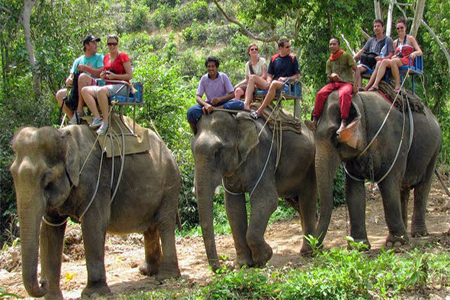 Elephant ride in Thailand.