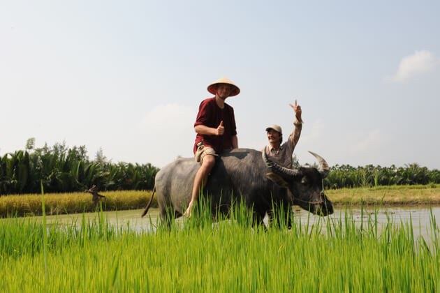 Experience-the-Real-Vietnam-Wet-Rice-Hoi-An-Da-Nang-shore-excursions