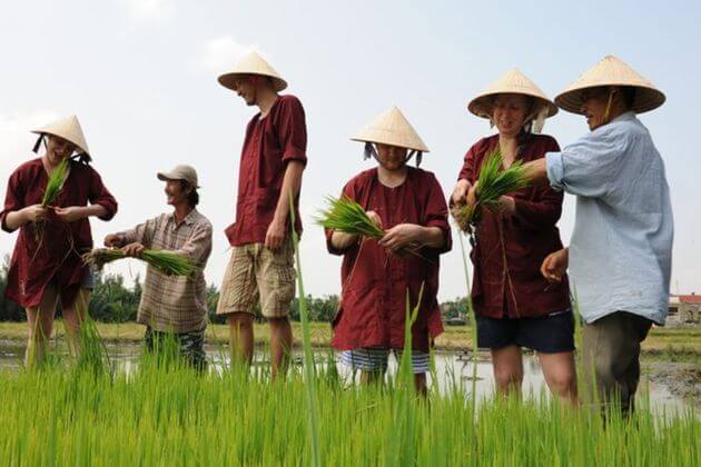 Farming-in-Hoi-An-shore-excursions