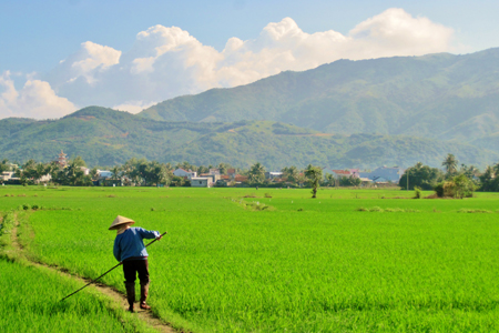 Lush countryside in Nha Trang shore excursions