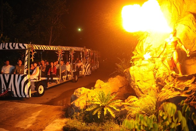 Night Safari Park Show Singapore