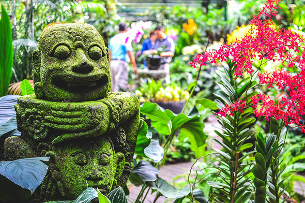 Singapore Botanic Garden