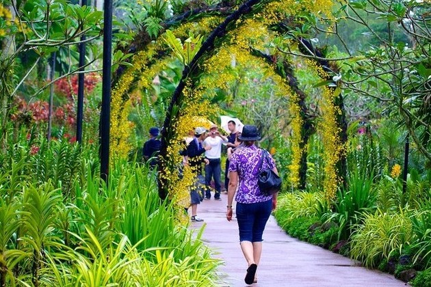 Singapore national Orchid garden