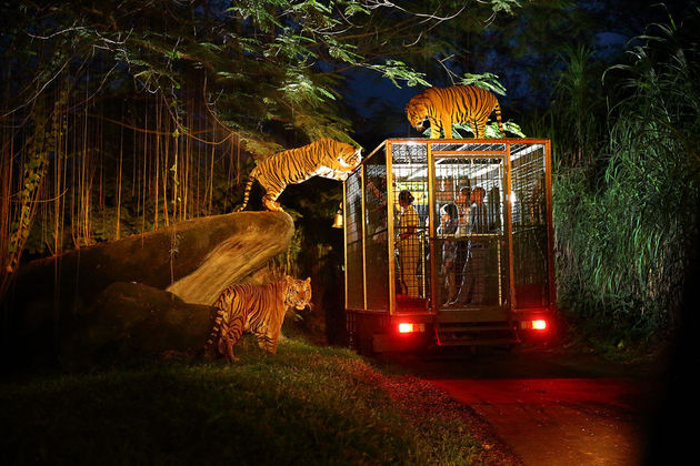 night safari park singapore