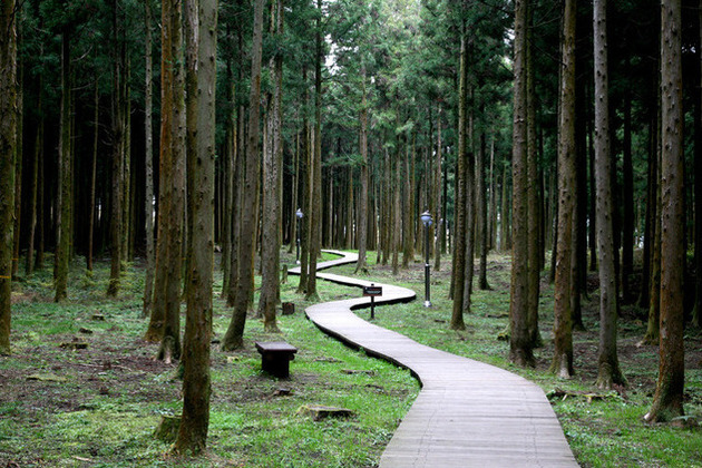 Jeolmul Forest Park