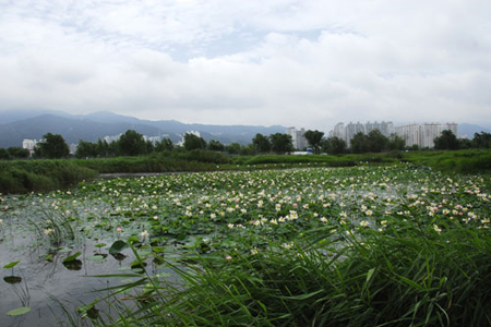 Nakdong River Eco Center