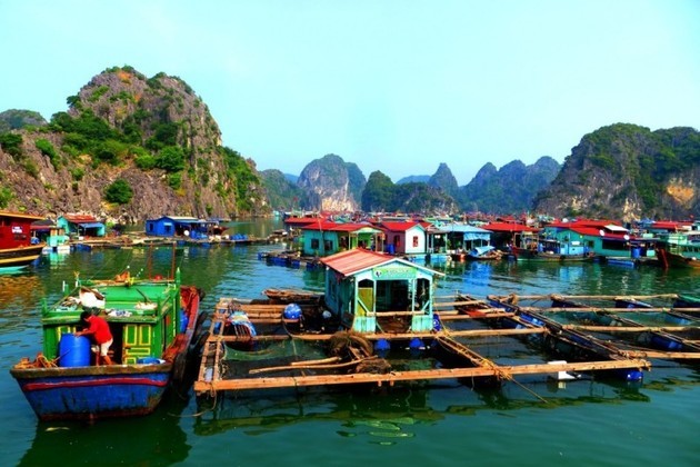 ba hang floating village - Halong shore excursions