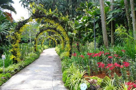 National Orchid Garden, Botanic Gardens, Singapore