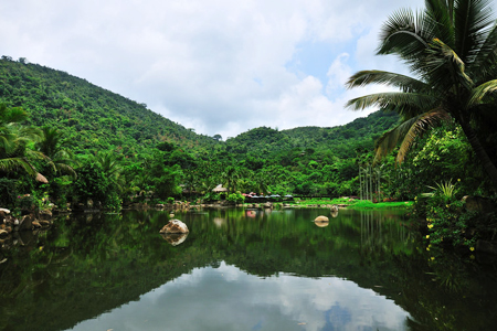 Scenic view at Yanoda Tropical Rainforest