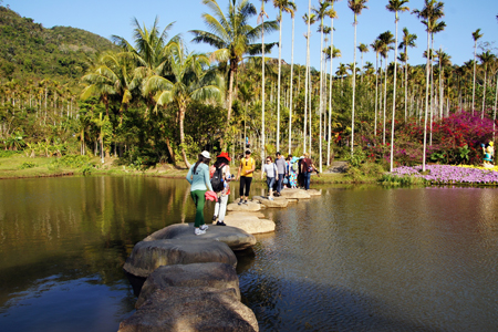 Visitors at Yanoda Tropical Rainforest