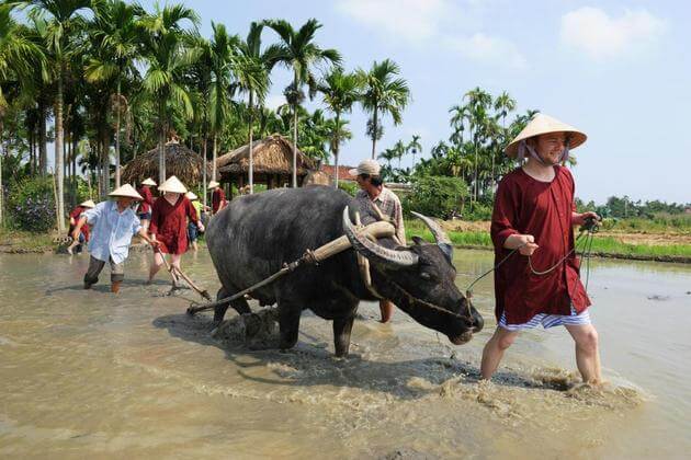 Farming in Hoi An eco tour - Hoi An shore excursions