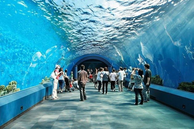 Krabi Outdoor Aquarium.