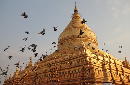 Stunning stupas of Shwezigon Pagoda