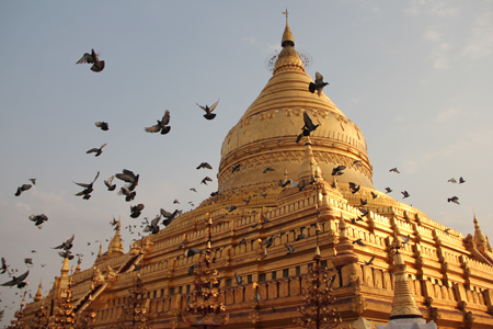 Stunning stupas of Shwezigon Pagoda