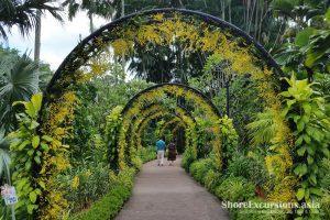 Singapore Botanic Gardens