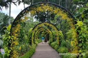 Singapore Botanic Gardens