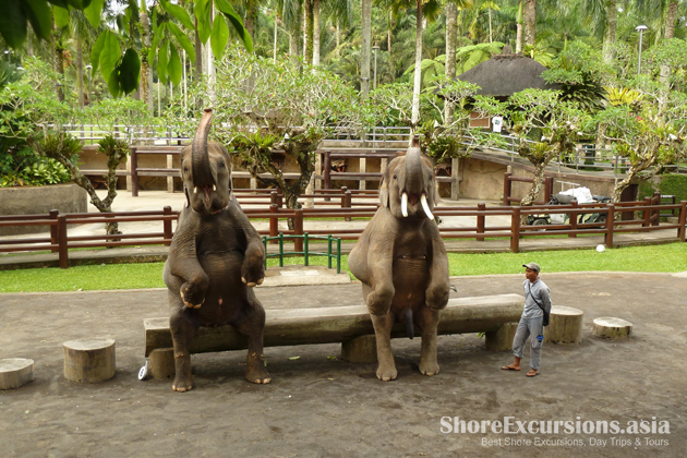 Bali Elephant Safari Park