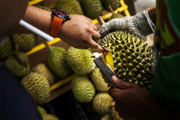 Taman Warisan Pertanian durians