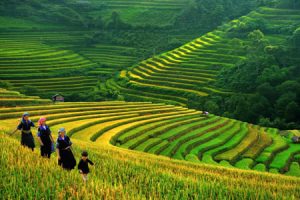 Vietnam weather in spring