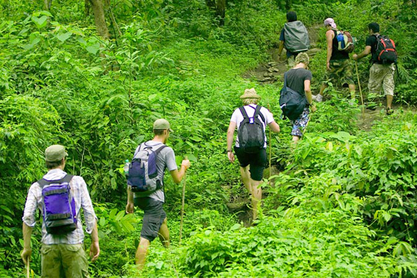 Roaming around the nearby forest in Khu Tuong farm to collect the herbs and vegetable