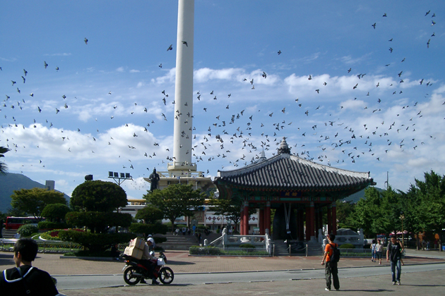 Birds fly over the 120m Busan tower in Yongdusan Park