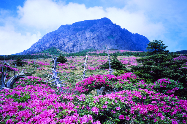 Spectacular landscape of Jeju - South Korea