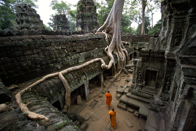 Admire the temples of Angkor