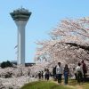 Goryokaku Park and Tower