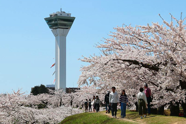 Goryokaku Park and Tower