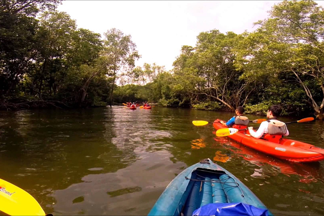 Kayaking through mangroves of Khatib Bongsu