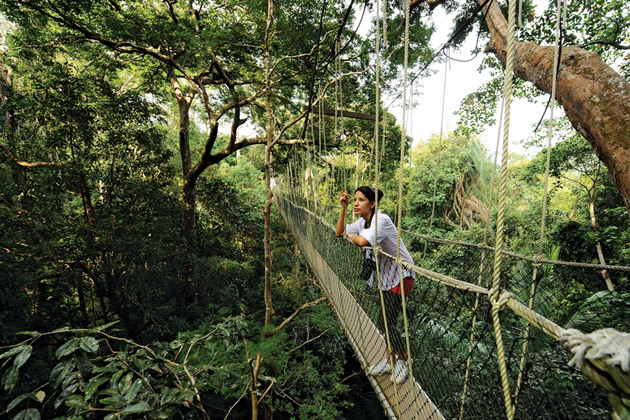 Taman Negara National Park