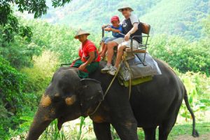 Top 5 Experiences on Indonesia Shore Excursions