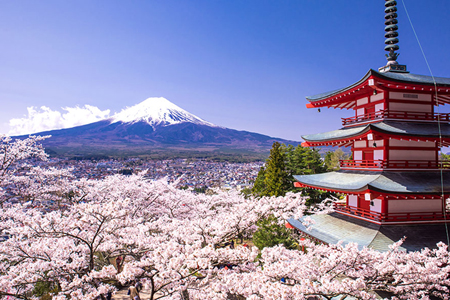 Top 5 Experiences on Japan Shore Excursions