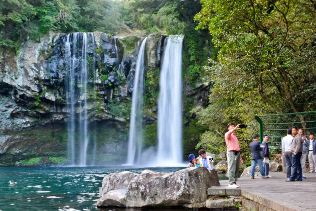 Cheonjiyeon Falls is home to many precious animals and plants