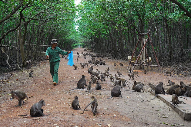 Can Gio Mangrove Biosphere Reserve