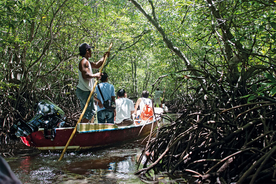 Can Gio Mangrove Biosphere Reserve