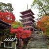 Chikurin-ji-Temple-Kochi