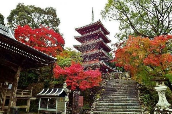 Chikurin-ji-Temple-Kochi