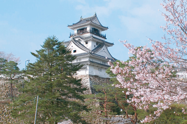 Kochi Castle