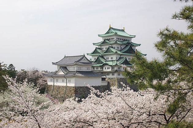 Nagoya-Castle