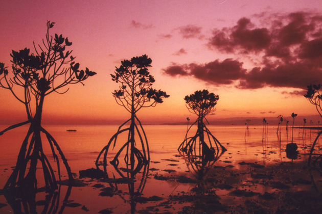 Nagura Bay at dusk