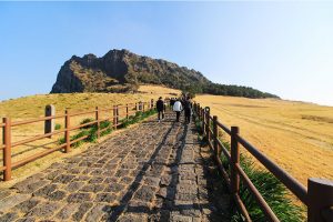 Seongsan Sunrise Peak