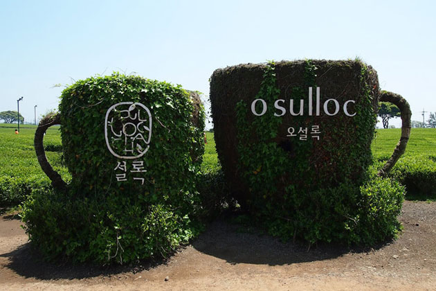 O’Sulloc Green Tea Museum