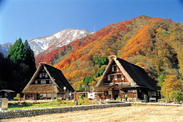 Historic Village of Gokayama