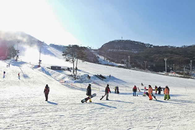 Jisan Forest Ski