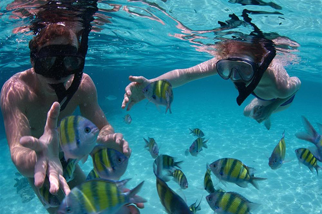 Koh Samui snorkeling