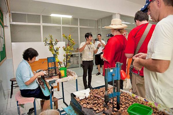 Phuket Cashew Nut Factory
