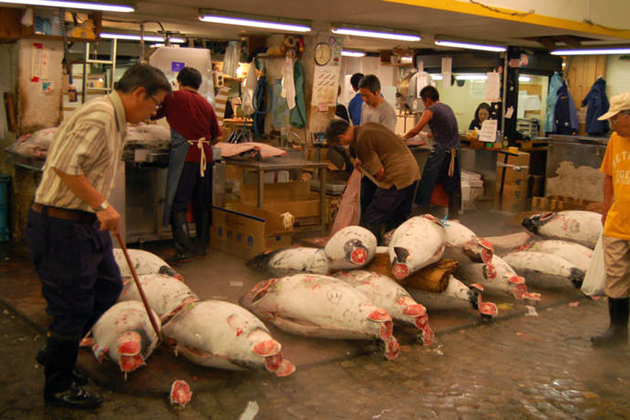 Toyosu Fishery Market