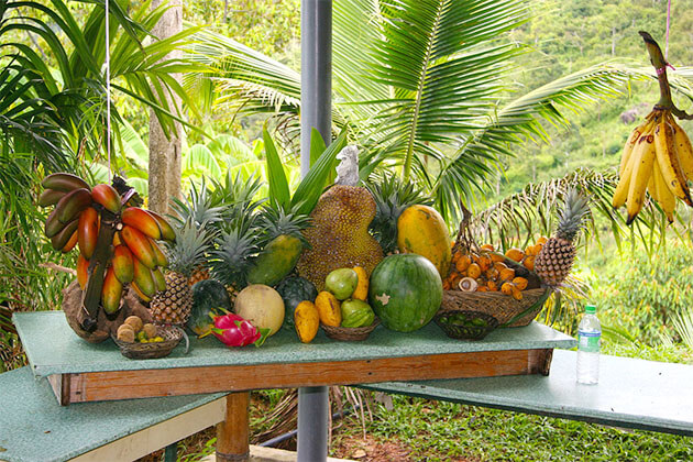 Tropical Fruit Farm in Penang