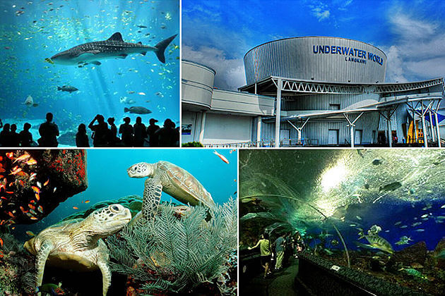 Underwater-World-Langkawi